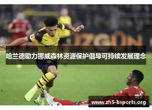 哈兰德助力挪威森林资源保护倡导可持续发展理念 哈兰德助力挪威森林资源保护倡导可持续发展理念