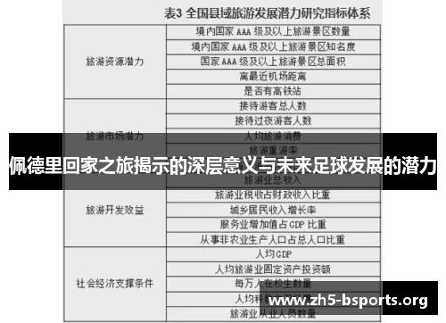 佩德里回家之旅揭示的深层意义与未来足球发展的潜力 佩德里回家之旅揭示的深层意义与未来足球发展的潜力