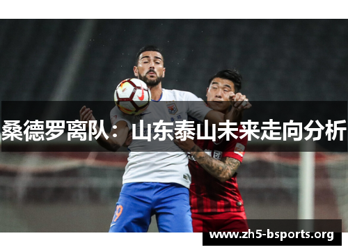 桑德罗离队:山东泰山未来走向分析 桑德罗离队:山东泰山未来走向分析