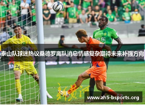 泰山队球迷热议桑德罗离队消息情感复杂期待未来补强方向 泰山队球迷热议桑德罗离队消息情感复杂期待未来补强方向