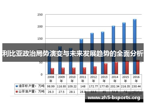 利比亚政治局势演变与未来发展趋势的全面分析 利比亚政治局势演变与未来发展趋势的全面分析