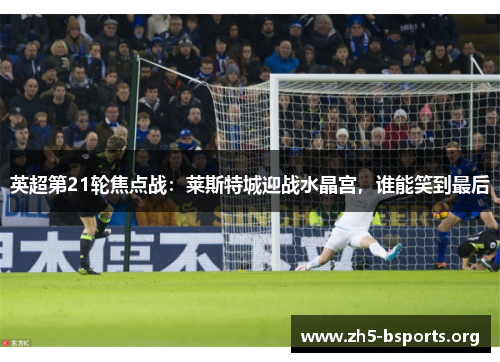 英超第21轮焦点战:莱斯特城迎战水晶宫,谁能笑到最后 英超第21轮焦点战:莱斯特城迎战水晶宫,谁能笑到最后