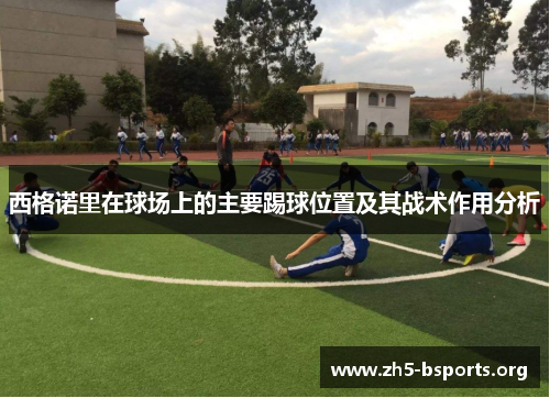 西格诺里在球场上的主要踢球位置及其战术作用分析 西格诺里在球场上的主要踢球位置及其战术作用分析