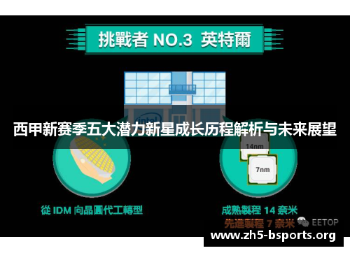西甲新赛季五大潜力新星成长历程解析与未来展望