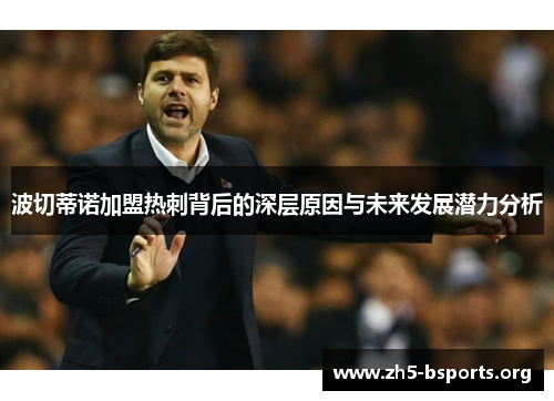 波切蒂诺加盟热刺背后的深层原因与未来发展潜力分析
